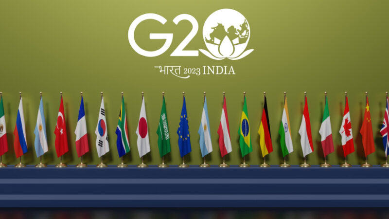 Flags G20 membership , Concept of the G20 summit or meeting, countries, Official India's G20 Logo,  summit India, G20 2023, 3d illustration and 3d work